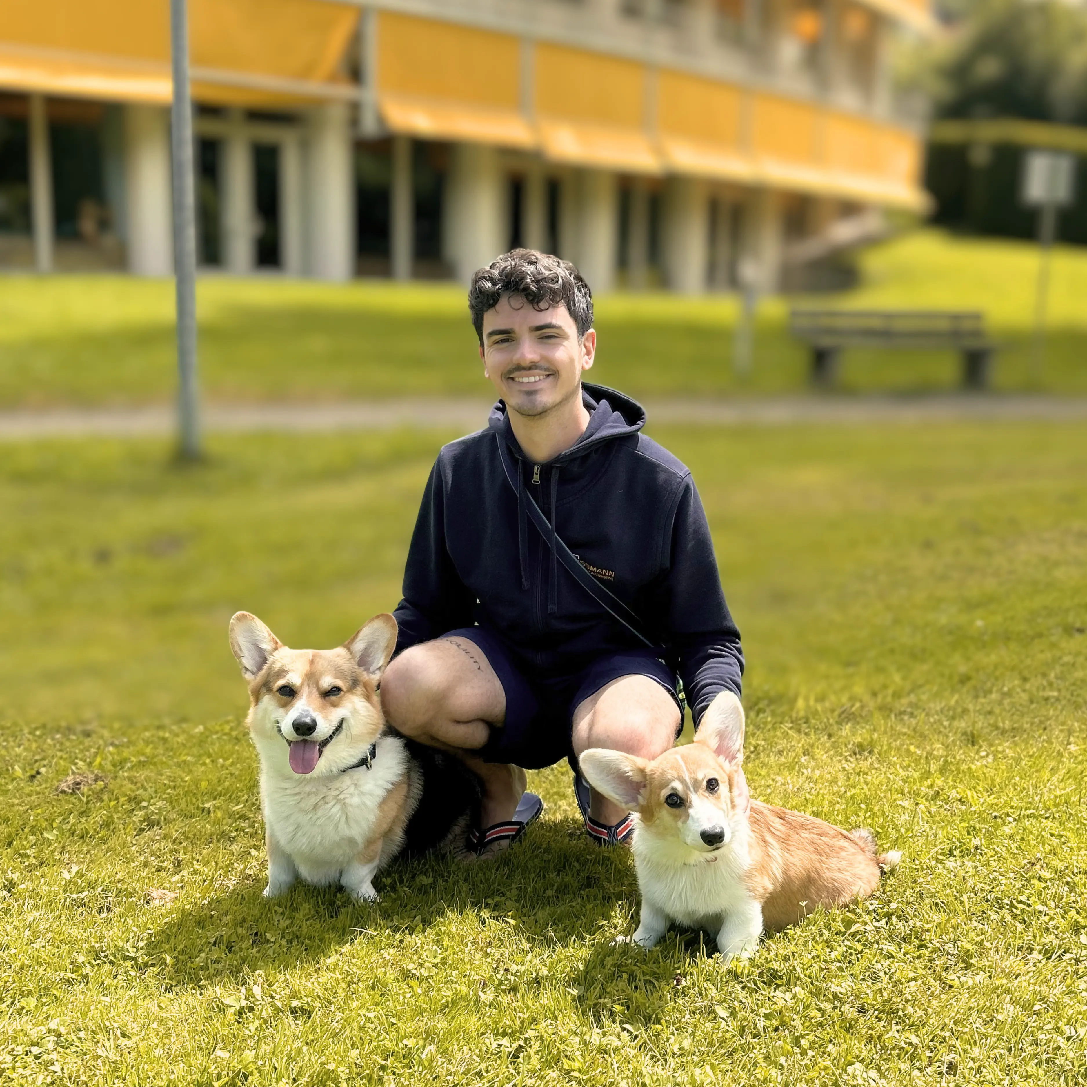 Pembroke Welsh Corgi Coco